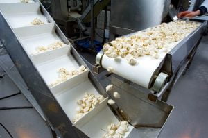 Løsninger i gummi og polyurethan til fødevareindustrien Løsninger i gummi og polyurethan til fødevareindustrien